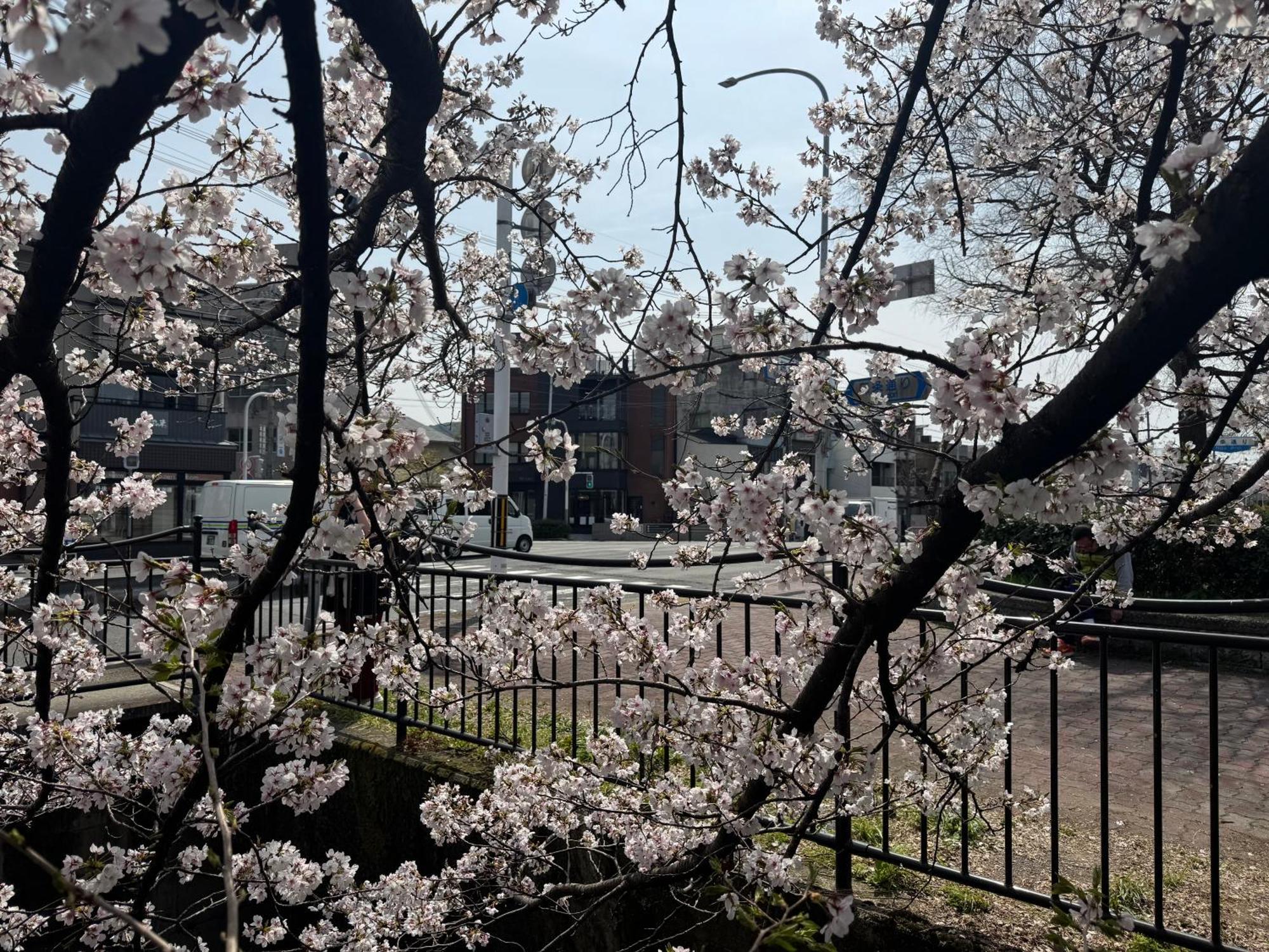 Mont-モン-Kamogawa Stay And Hotel Kyoto Extérieur photo